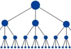 Piramide-estandard.webp