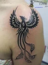 ave-fenix-en-el-hombro.webp