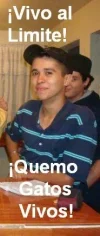 QUEMA_GATOS.webp