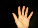 1355983100437.webp