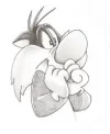 images.webp