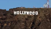 170101125551-hollyweed-super-tease.webp 170101125551-hollyweed-super-tease.webp