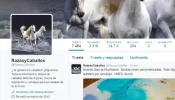 razasycaballos.webp