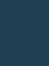 213f52.webp