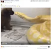 16359247_409836379364366_856554254_n.webp