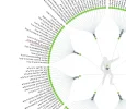 generador de titulos en ingles.webp generador de titulos en ingles.webp