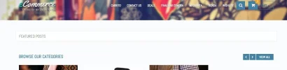 webshop233.webp