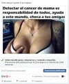 f2.webp