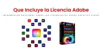 1653459824189.webp