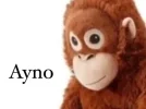 meme-viral-ayno-ikea-prin.webp
