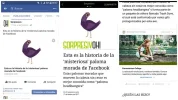 Capturas.webp