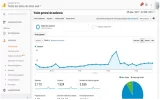 Visión general de audiencia   Analytics.webp