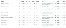 vochos2.webp