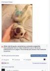 Captura de pantalla 2017-03-08 a las 10.25.45 a.m..webp