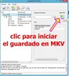 conversion_mkv_008.webp