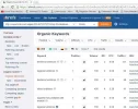 ahrefs.webp
