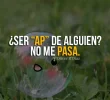 tumblr_lu13ydtelK1qhoipzo1_500_large.webp