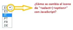 select-option.webp