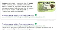 boldo.webp