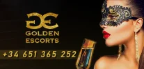 golden.webp golden.webp