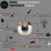 new-piktochart_172_a87e177e01eaa93da9bb4bcbeb33bda7c8d9cf0a.webp
