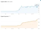 traffic.webp