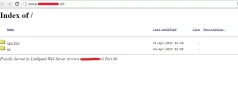 333.webp