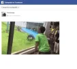 COMPARTI GIF.webp