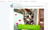 twitter-firefox-descargar-imagenes-007.webp