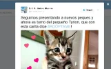 twitter-firefox-descargar-imagenes-008.webp
