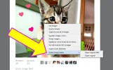 twitter-firefox-descargar-imagenes-009.webp
