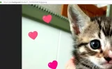 twitter-firefox-descargar-imagenes-010.webp