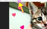 twitter-firefox-descargar-imagenes-011.webp