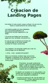 Untitled2.webp