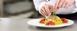 13666319185439-0-680x276.webp 13666319185439-0-680x276.webp