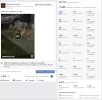 Pagina_3.webp
