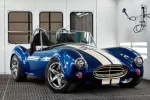 shelby56.webp