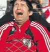 jz_llora.webp
