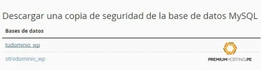 respaldo_8.webp