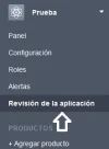revision-de-la-aplicacion.webp