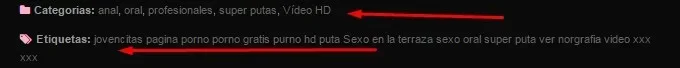 categoria.webp