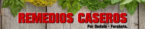 remedios-caseros.webp