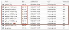 imageneswordpress_diferentestamanos.webp