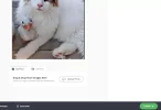 post2.webp