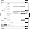 zz.com.ve-Template_Hierarchy.webp