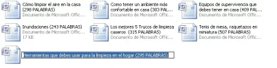 hogar7.webp