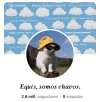 DBC613B0-76E1-4CA6-9AFA-05B2BE74335F.webp