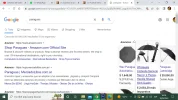 1660160335356.webp