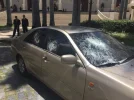carro-Borges.webp
