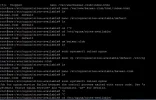 111111.webp